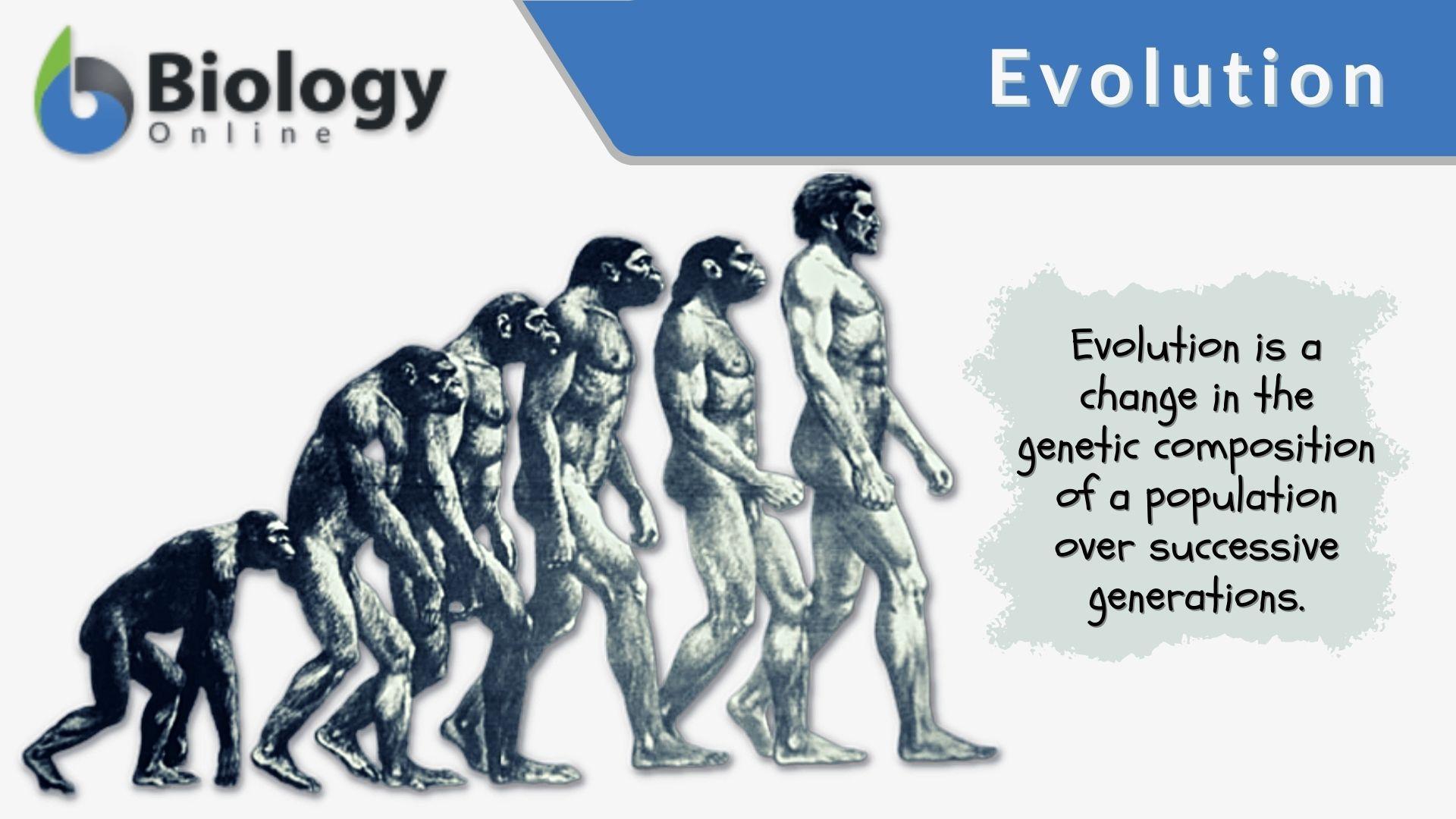 The Evolution of Pggames pgjogo com : From Classic to Modern